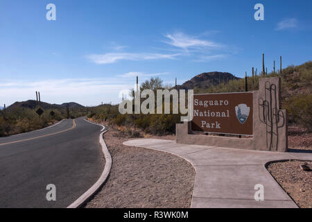 Usa, Arizona, Tucson, Saguaro National Park, West section. Banque D'Images