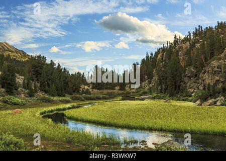 Stream et prairie, Petite Vallée des Lacs, John Muir Wilderness, Inyo National Forest, Californie. Banque D'Images