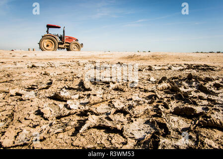 États-unis, Californie. La sécheresse de la Californie, 4 de l'expédition du bassin de la rivière San Joaquin, à l'Est de Los Banos sur Rt 152, vieux tracteur garé sur un sol sablonneux secs Banque D'Images