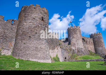 Château de Conwy, au Pays de Galles, Royaume-Uni Banque D'Images