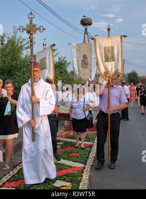 Procession annuelle en Pologne pour célébrer de Corpus Christi, prêtre ayant conduit les gens qui marchent sur les tapis unique pétale, floral. Banque D'Images