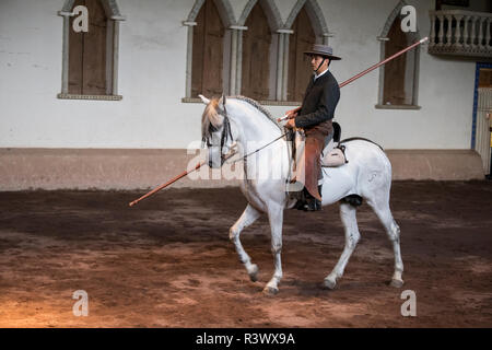 L'Amérique centrale, le Costa Rica, Rancho San Miguel. Salon du cheval andalou traditionnel, homme rider en costume typique avec lance. (Usage éditorial uniquement) Banque D'Images