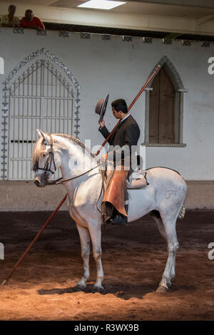 L'Amérique centrale, le Costa Rica, Rancho San Miguel. Salon du cheval andalou traditionnel, homme rider en costume typique avec lance. (Usage éditorial uniquement) Banque D'Images