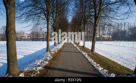 Allée d'hiver avec de la neige et d'autre de Leibnitz, Autriche Banque D'Images