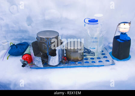 La neige dans l'arrière-cuisine, Yosemite National Park, California, USA Banque D'Images