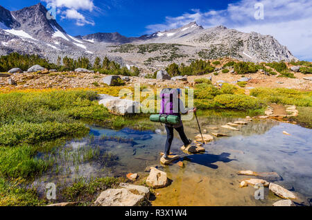 Backpacker sur le sentier du col de l'évêque, John Muir Wilderness, la Sierra Nevada, en Californie, USA (MR) Banque D'Images