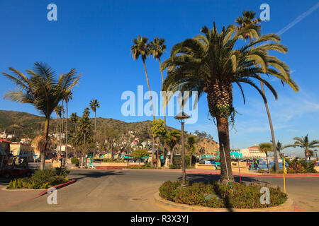 Ville d'Avalon sur l'île de Catalina, le sud de la Californie, USA Banque D'Images