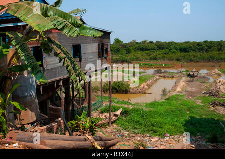 Village de pêcheurs sur pilotis ou guindé house, dans la saison sèche, avec potager Lac Tonle Sap, Cambodge Banque D'Images