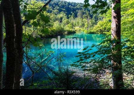 Le parc national des Lacs de Plitvice Banque D'Images