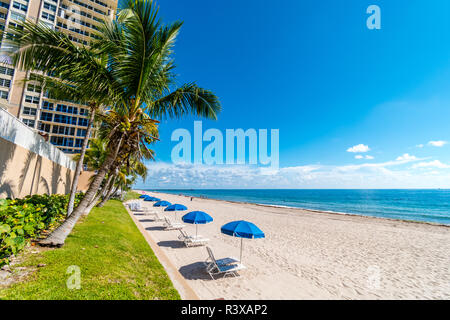 Palmiers et parasol rangée sur Miami Beach, Floride, USA Banque D'Images