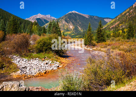 La couleur de l'automne le long du ruisseau de minéraux sous Red Mountain Pass, San Juan National Forest, Colorado, USA Banque D'Images