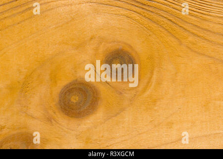 Knot marques sur planche en bois close up Banque D'Images