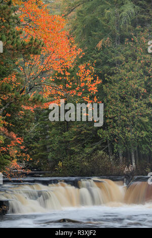 Cascade sur la partie inférieure de Tahquamenon Falls, Tahquamenon Falls State Park, Upper Peninsula, au Michigan Banque D'Images