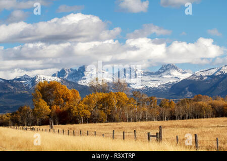 Etats Unis, New York. Le Teton Mountains s'élever au-dessus de terres agricoles et d'arbres près de Driggs, Idaho. Banque D'Images