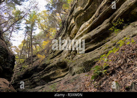 Les canyons de grès de Starved Rock State Park à Oglesby, Illinois Banque D'Images