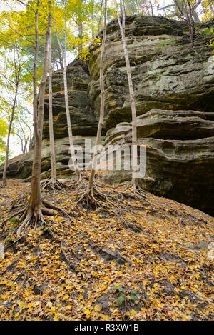 Les canyons de grès de Starved Rock State Park à Oglesby, Illinois Banque D'Images