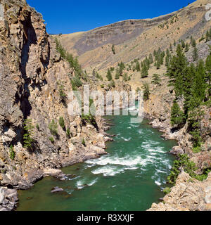 Black Canyon de la Yellowstone river in Yellowstone National Park près de Gardiner, Montana Banque D'Images