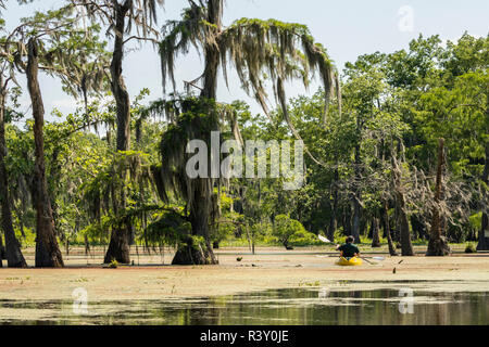 USA, Louisiane, National Heritage Area Atchafalaya. Lac Martin les kayakistes. Banque D'Images