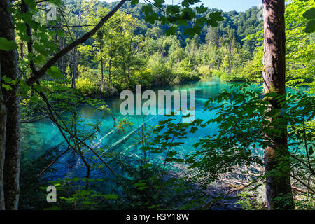 Le parc national des Lacs de Plitvice Banque D'Images