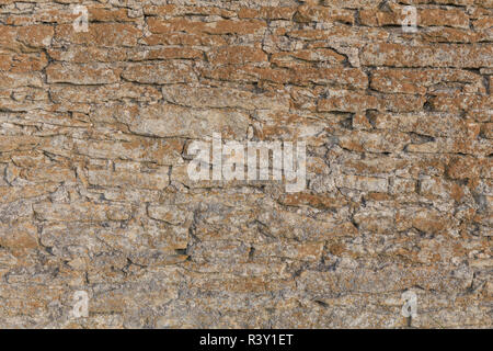 Vieux Mur de pierre texture avec moss Banque D'Images