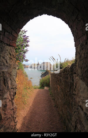 À l'arrière le long du sentier du littoral à Dunbar Castle, Dunbar, Ecosse Banque D'Images