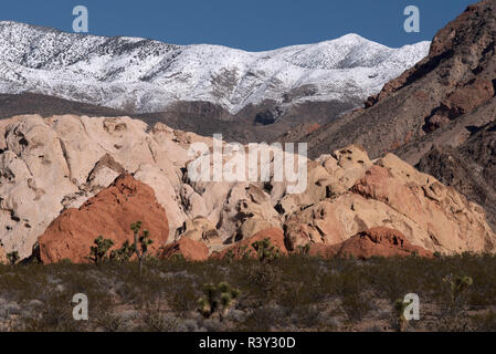 USA, Nevada. Sol du désert de montagnes couvertes de neige à Whitney or poches Butte National Monument Banque D'Images