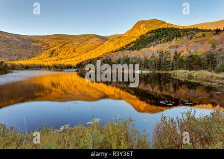 Les couleurs de l'automne reflète sur étang de castors, White Mountains National Forest, New Hampshire Banque D'Images