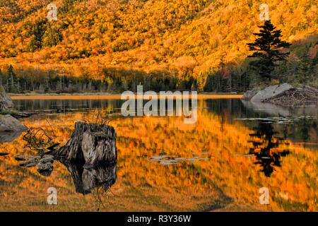 Les couleurs de l'automne reflète sur étang de castors, White Mountains National Forest, New Hampshire Banque D'Images