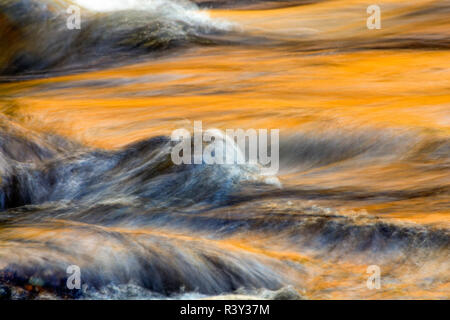 Couleurs d'automne reflétant sur Swift River, White Mountains National Forest, New Hampshire Banque D'Images