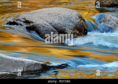 Ce qui reflète les couleurs de l'automne sur Swift River, White Mountains National Forest, New Hampshire Banque D'Images