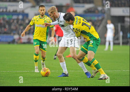 Swansea, Pays de Galles, Royaume-Uni. 24 Nov 2018. Vieux McBurnie de Swansea City détient au large de Timm Klose de Norwich City dans la première moitié. Match de championnat Skybet EFL, Swansea City v Norwich City au Liberty Stadium de Swansea, Pays de Galles du Sud le samedi 24 novembre 2018. Cette image ne peut être utilisé qu'à des fins rédactionnelles. Usage éditorial uniquement, licence requise pour un usage commercial. Aucune utilisation de pari, de jeux ou d'un seul club/ligue/dvd publications. Photos par Phil Rees/Andrew Orchard la photographie de sport/Alamy live news Banque D'Images