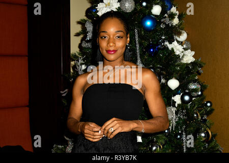 Rachel Adedeji assiste à un dîner afin de recueillir des fonds pour les enfants, un organisme qui appuie les enfants handicapés, les jeunes et leurs familles à Riverbank Park Plaza le 24 novembre 2018, Londres, Royaume-Uni. Credit Photo : Alamy/Capital Live News Banque D'Images