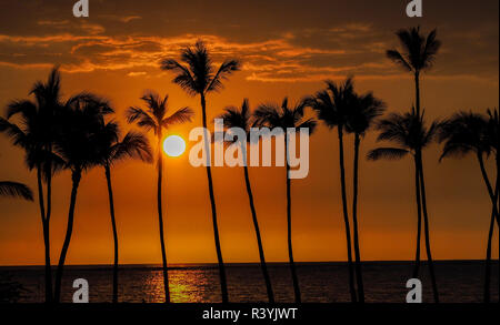 USA, Hawaii, Big Island. Coucher de soleil sur Anaehoomalu Bay. Banque D'Images