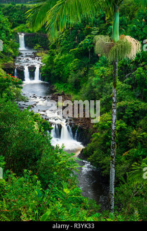 Chutes Umauma le long de la côte, la luxuriante Hamakua Big Island, Hawaii, USA