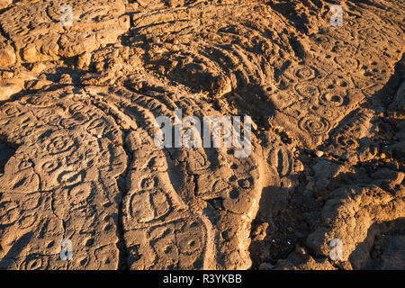 Hawaiian pétroglyphes sur les Rois Trail at Waikoloa, Kohala Coast, Big Island, Hawaii, USA Banque D'Images