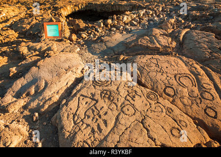 Hawaiian pétroglyphes sur les Rois Trail at Waikoloa, Kohala Coast, Big Island, Hawaii, USA Banque D'Images