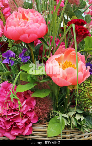 Bouquet d'été avec l'hydrangea et les pivoines Banque D'Images