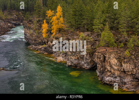 Kootenai Falls dans la forêt nationale de Kootenai près de Troy, Montana, USA Banque D'Images