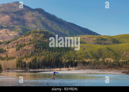 La pêche à la mouche sur la fourche au milieu de la rivière Flathead, dans la forêt nationale de Flathead, Montana, USA (MR) Banque D'Images