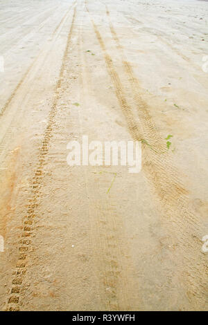 Location de pistes dans le sable humide d'une plage Banque D'Images