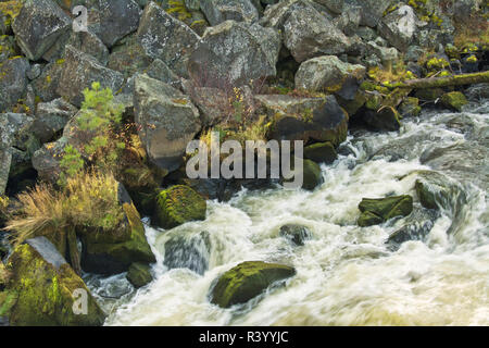 L'eau blanche, rivière Deschutes, Benham Falls, forêt nationale de Deschutes, Oregon, USA Banque D'Images