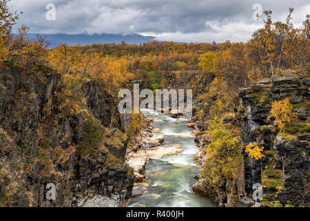 Abisko Canyon en automne, rivière Abiskojåkka, Abiskojakka, Abisko National Park, Norrbotten, Laponia, Laponie, Suède Banque D'Images