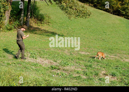 Un chasseur avec un chien sur le travail de suivi. Banque D'Images