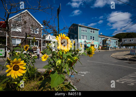 USA, Maine, Portland, Casco Bay, île de pics, Welch Street Banque D'Images