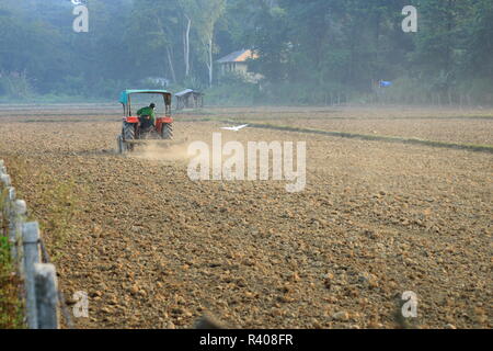 Le tracteur laboure un champ de riz, au Népal Banque D'Images