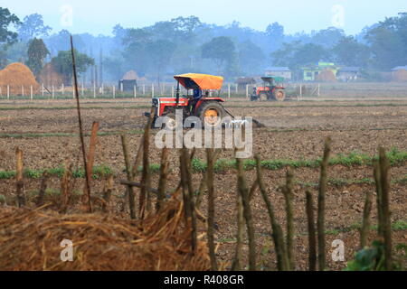 Le tracteur laboure un champ de riz, au Népal Banque D'Images