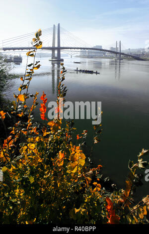 USA (Oregon, Portland. Tilikum traversée de pont et rivière Willamette rameurs au lever du soleil. En tant que crédit : Steve Terrill / Jaynes Gallery / DanitaDelimont.com Banque D'Images