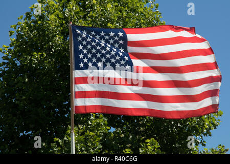 USA (Oregon), Lane Comté, Salem. Drapeau des États-Unis. Banque D'Images