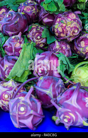 USA (Oregon), Redmond, courber. Le marché des fermiers de courbure en haut du parc de l'étang miroir au centre-ville. Chou-rave violet. Banque D'Images