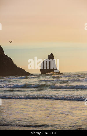 Cannon Beach, Oregon. Les mouettes volent au-dessus de botte de roches et le fracas des vagues au coucher du soleil Banque D'Images